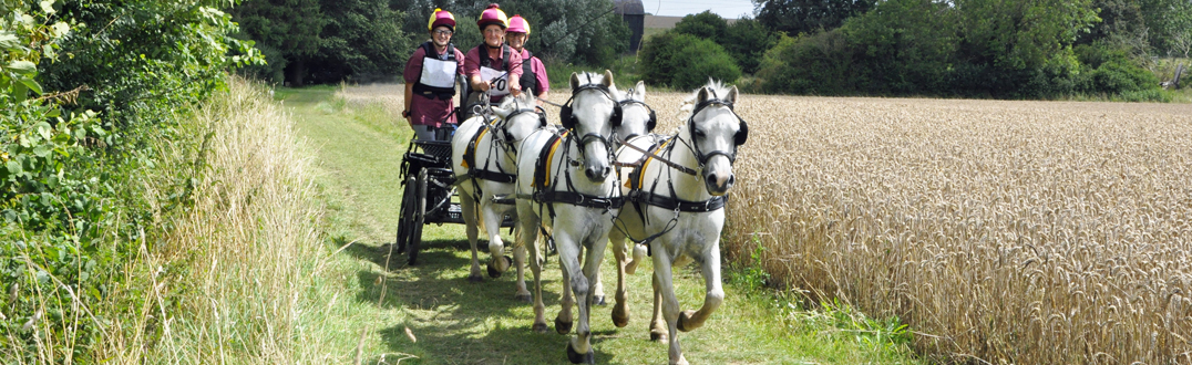 National Carriage Driving Championships 2